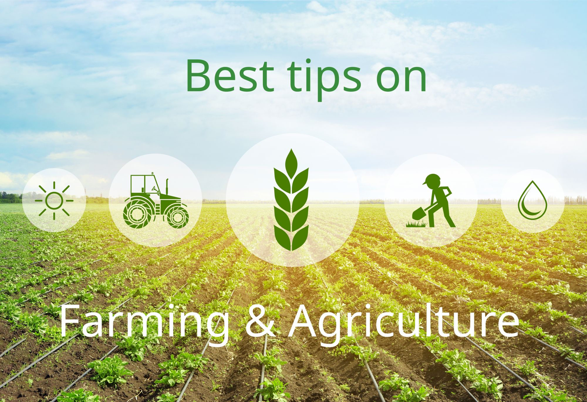 Farming And Agriculture